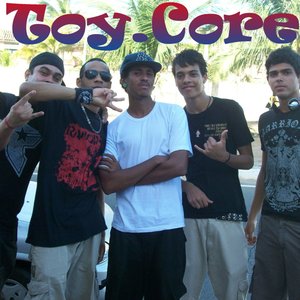 toycore 的头像