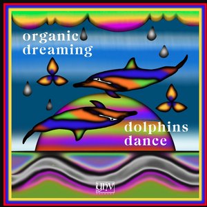 Dolphins Dance