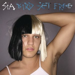 Bird Set Free - Single