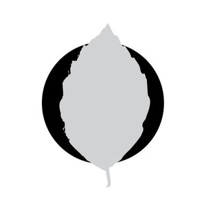 Avatar for St. Catherine’s Home For Lazy Infants