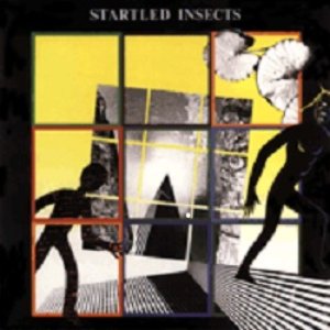 Startled Insects