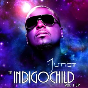 The Indigochild, Vol. 1