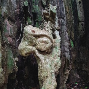 Ăn Chay - Single