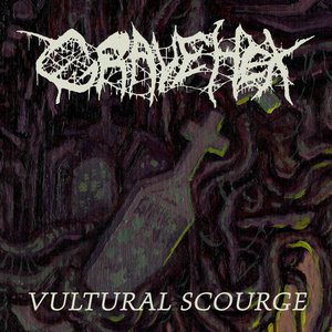 Vultural Scourge