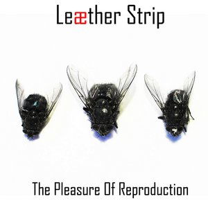 The Pleasure of Reproduction