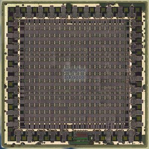 everydaydrone 的头像