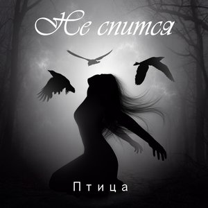 Image for 'Птица'