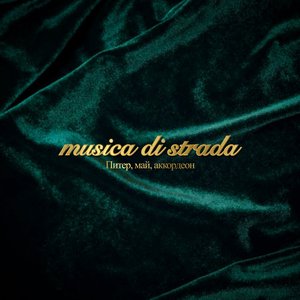 Питер, май, аккордеон - Single