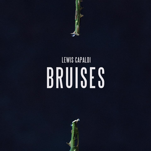 Lewis Capaldi - Sad Viral Hits - 07 - Bruises Lyrics - Zortam Music