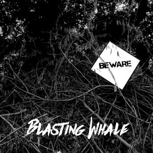 Blasting Whale 的头像