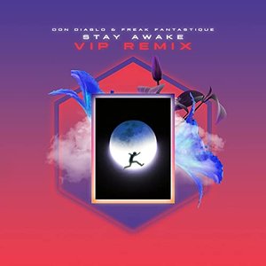 Stay Awake (Vip Mix) - Single