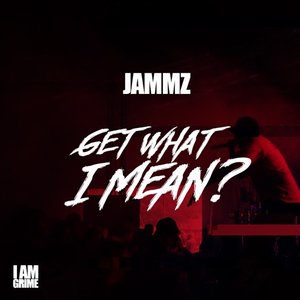 Get What I Mean? - Single