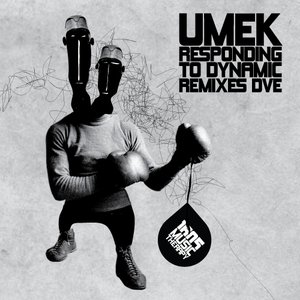 Responding To Dynamic (Remixes Dve)