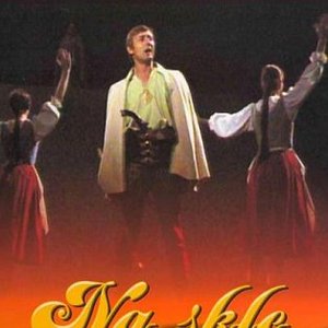 Image for 'Na skle malovane'