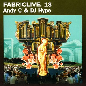 FabricLive 18: Andy C & DJ Hype