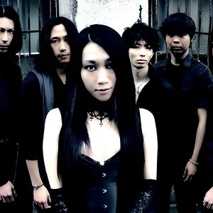 Taia 的头像