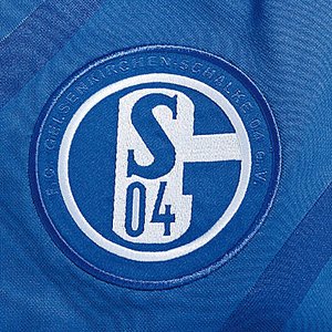 Image for 'FC Schalke 04'