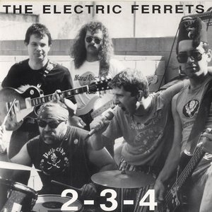 Аватар для Electric Ferrets