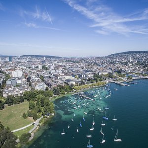 Lake Zurich 的头像
