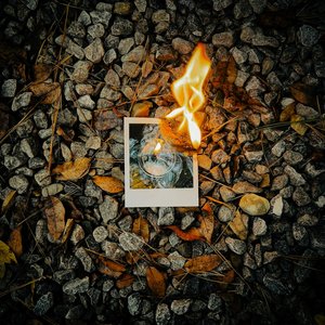 Fixed - Single