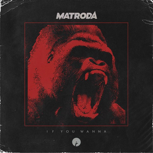 Matroda - If You Wanna - Zortam Music