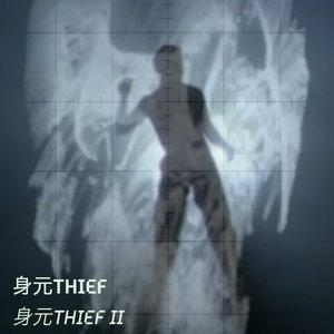 身元THIEF II