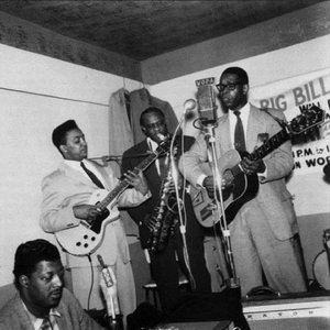 Elmore James & the Broom Dusters 的头像