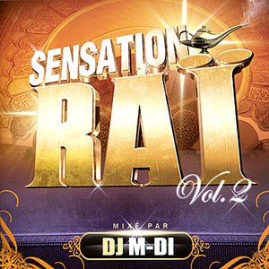 Sensation Rai, Vol. 2