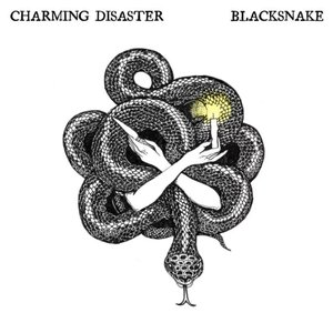 Blacksnake