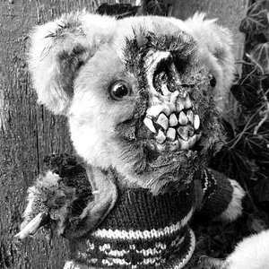 Teddy The Bear 的头像