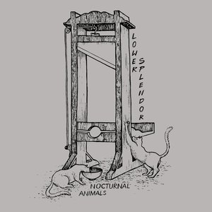 Nocturnal Animals