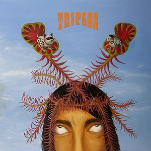 Shamans Among Machines