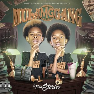 Twin Stories