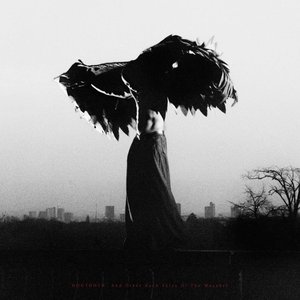 DOGTOOTH. And Other Such Tales of The Macabre