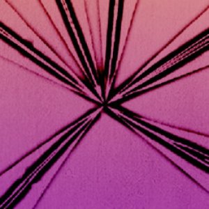 iZeo 的头像