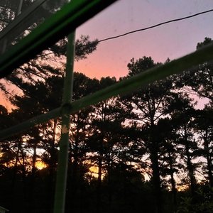 Backseat - Single