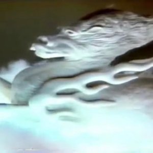 “寿司風味のミルク”的封面