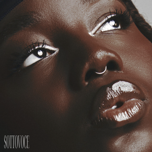 Artwork for Sottovoce