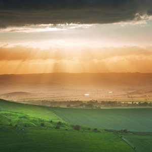 Basking in Light