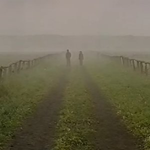 twilight years