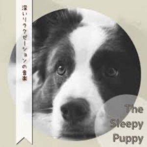 Sleepy Puppy 的头像
