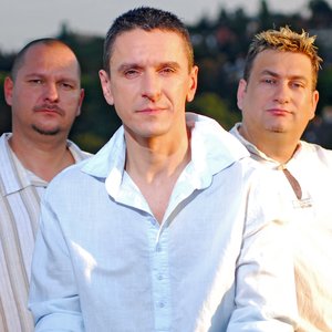 Peter Sarik Trio 的头像