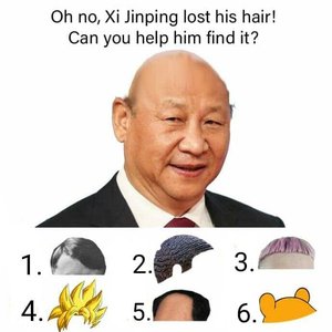 Xi Jinping 的头像
