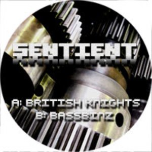 British Knights b/w Bassbinz