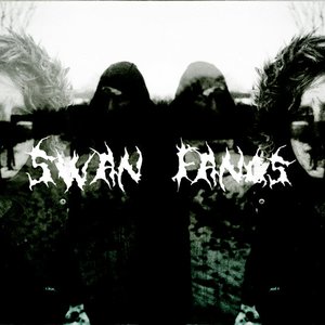 Swan Fangs 的头像