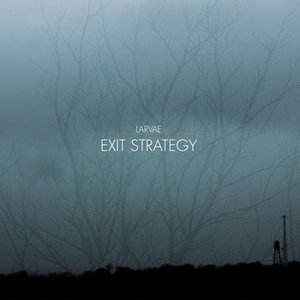 Image for 'Exit Strategy'