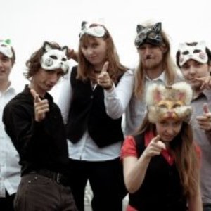 Felidae 的头像