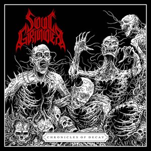 Chronicles of Decay / Sadistic Parasite