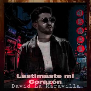Lastimaste Mi Corazón