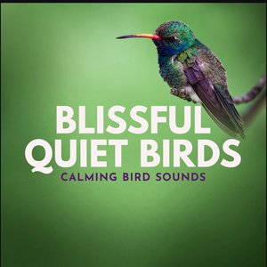 Blissful Quiet Birds